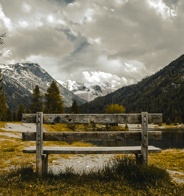 bench